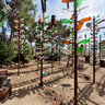 Bottle Tree Ranch