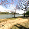Ibirapuera Park,  Sao Paulo, Brazil