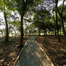 Stone path at Villa Lobos Park