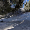 Feldberg im Taunus - Rodelbahn