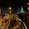 Christmas Time in Brno 2011