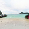 Phiphi Monkey