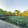 Trung Dao Bridge Hue Citadel