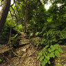 Ba Be National Park-Bac Kan province
