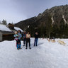 Chien De Traineau Boreon Saint Martin Vesubie