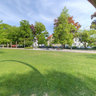 Stahlplastik Durne, Stadtgarten Weingarten