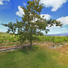 View from Iona over the Elgin Valley