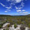 Elgin valley close to Kleinmond