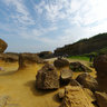 Yehliu Geopark(Mushroom Rocks Forest)