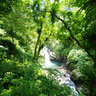 Neidong Forest Park(Middle-level Waterfall)