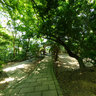 Zhishanyan North Gate