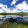 P1170864 80029 5ipslogo
