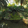 Palmenhaus
