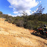Bridle Track - Kalamunda
