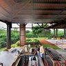 Doka Estate Coffee Plantation