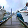 Fishing Boats at Harbor  in Valdez, Alaska 2