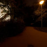 Prague by night: yellow penguins waiting for a ship to Antarctica
