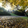 Autumn trees in Stromovka