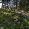 Zruc nad Sazavou Castle - 
