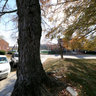 Historic Hillsborough, North Carolina