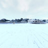 Exmouth Snowy Seashore
