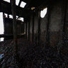 Cockwood Wreck Interior