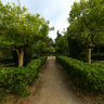 Parque de Tentegorra