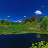 Canberra - Nerang Pool At Commonwealth Park