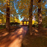 Canberra - Glebe Park in autumn