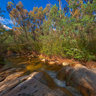 Gibraltar Creek State Forest - Gibraltar Creek