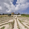 Aruba Peace Labyrinth