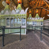 Entree The Efteling