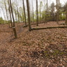 Hallerbos dal