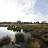 Loonse en Drunense Duinen