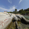 Gorgona Kabourotripes Xalkidiki