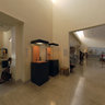 Delfi Museum Kouroi