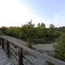 Kotsantere Old Bridge Greece