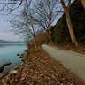 Kastoria Walking on the Leaves