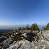 Mount Kissavos Lifeless Trees Greece