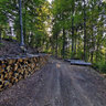 Piles And Piles Of Wood On Mount Kissavos Greece