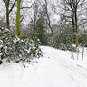 Snowy Temple Wood Welwyn Garden City London Uk