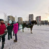 Reindeer, Donkey & Camel — Северный олень, ишачок и верблюд