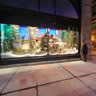 2012-01-05 - Montreal - Vitrine OGilvy