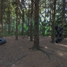 2011-07-31 - CNDF - Piste hebertisme -2