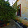 Garden near Manolis Kambanakis's house in the town of Sitia (Crete, Greece)