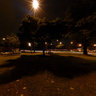 Árvore de Natal do Ibirapuera 2008