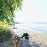 Cedar Creek Park
