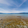 Sarson Beach