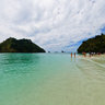 Chicken island