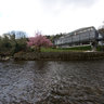 The Meetings Of Avoca